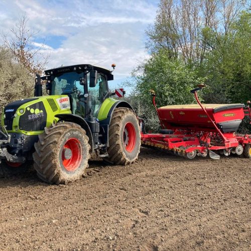 279122902_343247111120267_5306477866467804572_n